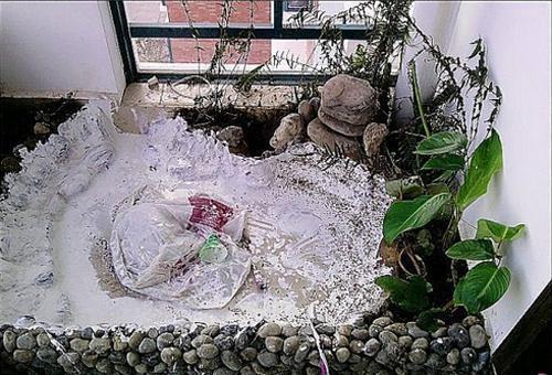 鹅卵石鱼池