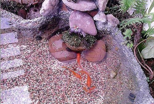 鹅卵石鱼池