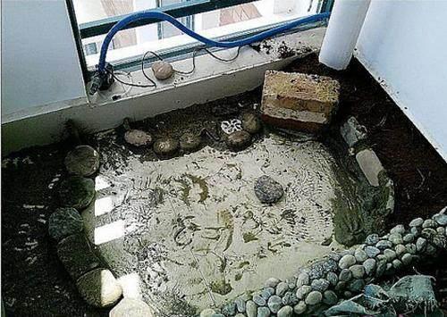 鹅卵石鱼池