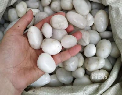 白色鹅卵石厂家：一级/高亮/精品/抛光白色鹅卵石批发/图片/价格