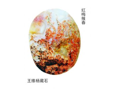 南京雨花石精品收藏欣赏：红梅报春