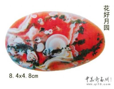 南京雨花石精品收藏欣赏 花好月圆