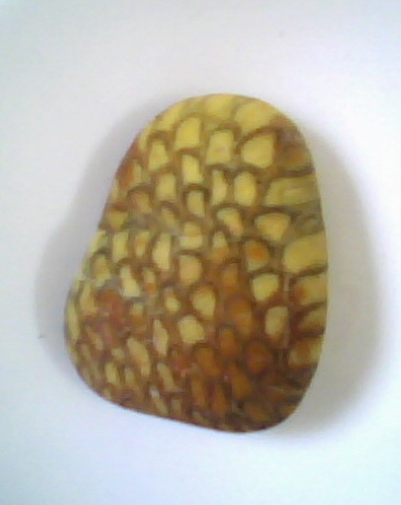 Ƥʯ