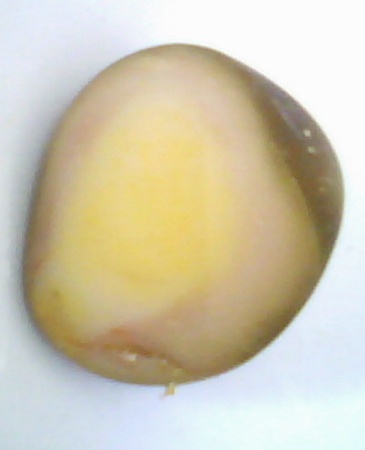 ʯ