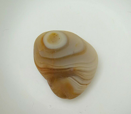 껨ʯ