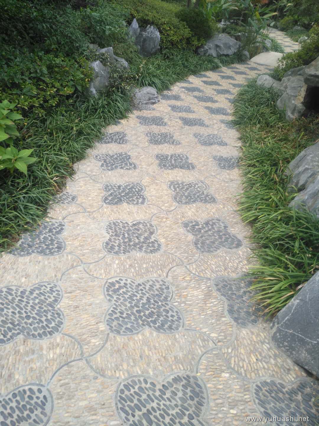 껨ʯ·