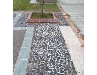 ​껨ʯʯ·跽